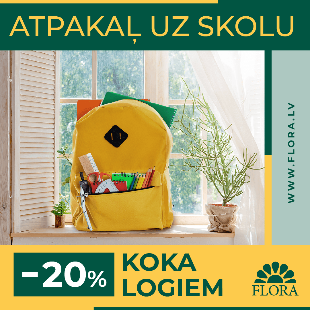 Flora_skola_1x1 Līgo akcija koka logiem | Flora